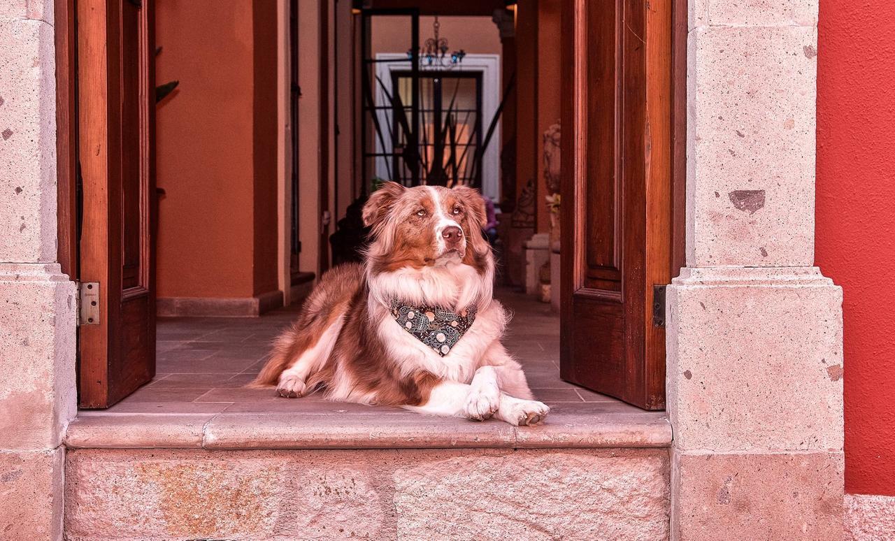 Artesana Luxury Villa San Miguel de Allende Exterior photo